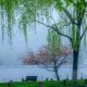 钱凤纶